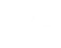 Logo Natural Origin (nouvel onglet)